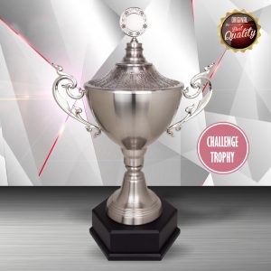 Challenge Trophy Silver Challenge Trophy EXWS6118