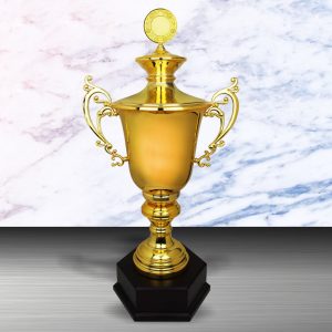 Challenge Trophy Golden Trophy EXWS6119
