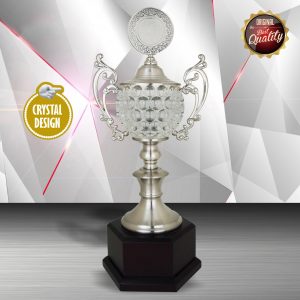 Crystal Trophy Silver Crystal Trophy EXWS6135