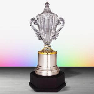 Crystal Trophy Silver Crystal Trophy EXWS6177