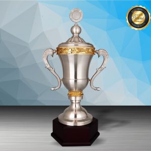Challenge Trophy Silver Trophy EXWS6208