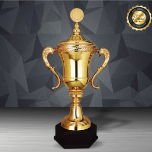 Challenge Trophy Golden Trophy EXWS6210