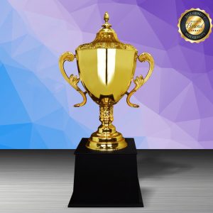 Challenge Trophy Golden Trophy EXWS6212