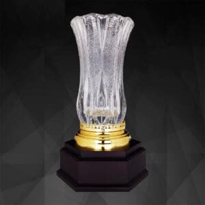 Awards Vase Crystal Trophy CR9195
