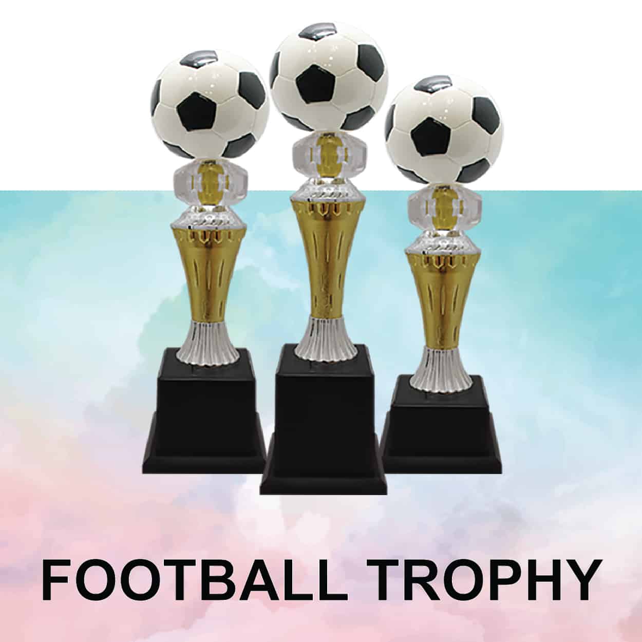 Football Trophy Football Trophy