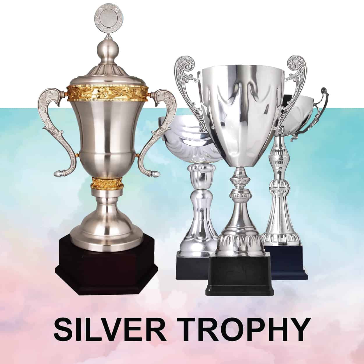Silver Trophy Silver Trophy