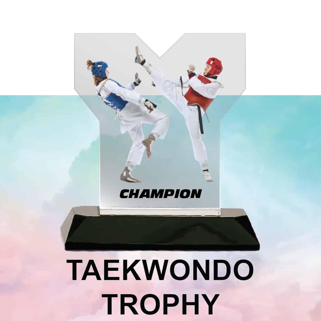 Taekwondo Trophy Taekwondo Trophy