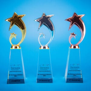 Crystal Trophy Crystal Trophy CR0224 Crystal Trophy Crystal Trophy CR0224