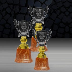 Cup Trophy Cup Trophy EXWS6217