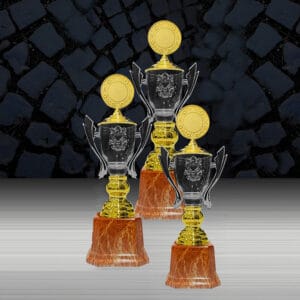 Cup Trophy Cup Trophy EXWS6218