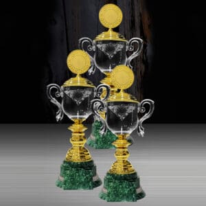Cup Trophy Cup Trophy EXWS6219