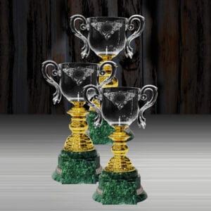 Cup Trophy Cup Trophy EXWS6220