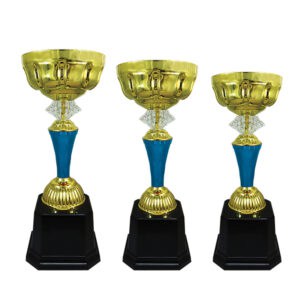 Cup Trophy Golden Cup Trophy ICBAW696B