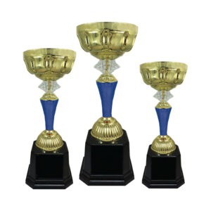 Cup Trophy Golden Cup Trophy ICBAW696B