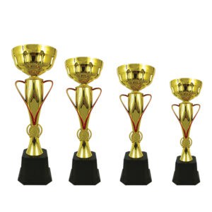 Cup Trophy Golden Cup Trophy ICBAW699G Cup Trophy Golden Cup Trophy ICBAW699G