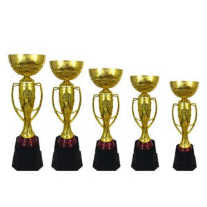 Cup Trophy Golden Cup Trophy ICBAW704 Cup Trophy Golden Cup Trophy ICBAW704