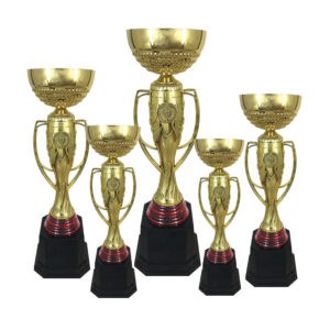 Cup Trophy Golden Cup Trophy ICBAW704 Cup Trophy Golden Cup Trophy ICBAW704