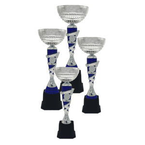 Cup Trophy Silver Cup Trophy ICBAW708SB Cup Trophy Silver Cup Trophy ICBAW708SB