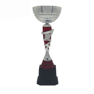 Cup Trophy Silver Cup Trophy ICBAW708SR Cup Trophy Silver Cup Trophy ICBAW708SR