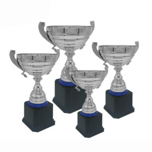 Cup Trophy Silver Cup Trophy ICBAW709S