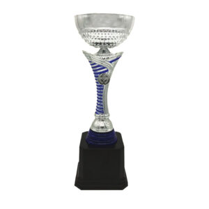 Cup Trophy Silver Cup Trophy ICBAW710S Cup Trophy Silver Cup Trophy ICBAW710S