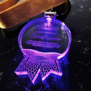 Acrylic Medals Acrylic LED Medal SP5082