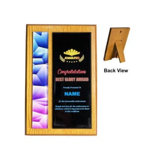 Acrylic Plaques Acrylic Plaque SP5112
