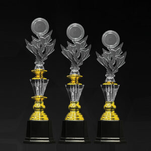 Acrylic Trophy Acrylic Trophy AC4348