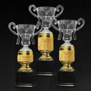 Acrylic Trophy Acrylic Trophy AC4353