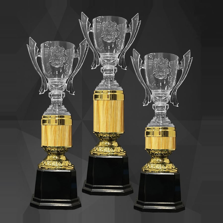 Acrylic Trophy Acrylic Trophy AC4356 Acrylic Trophy Acrylic Trophy AC4356