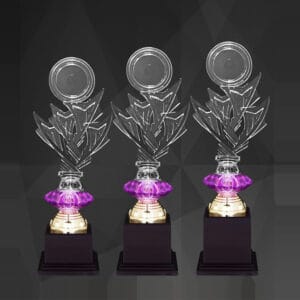 Acrylic Trophy Acrylic Trophy AC4366