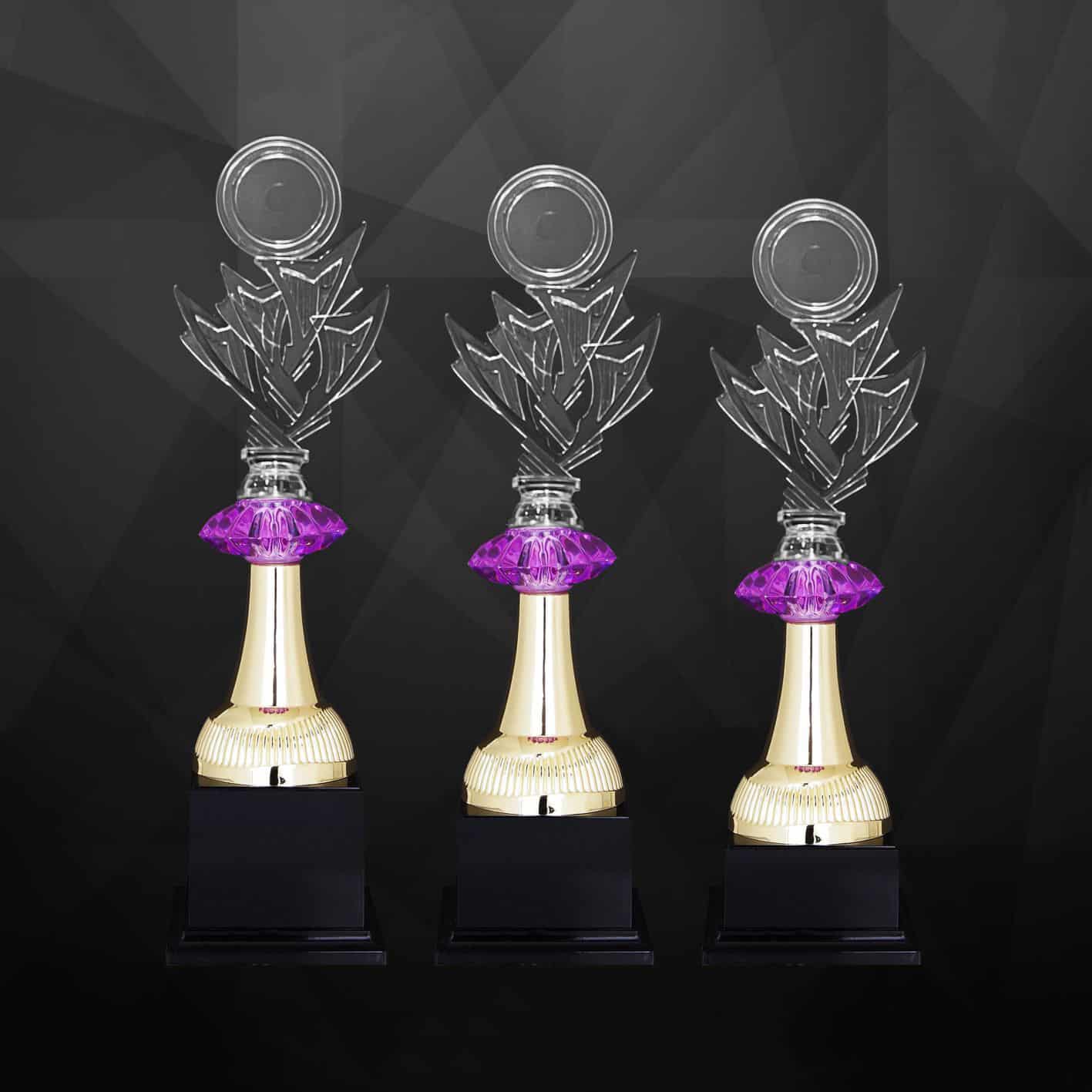 Acrylic Trophy Acrylic Trophy AC4367 Acrylic Trophy Acrylic Trophy AC4367