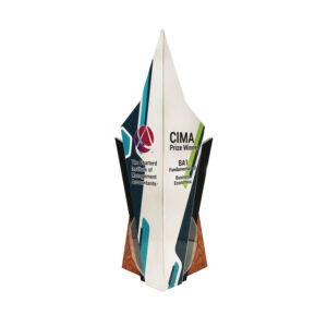 Custom Trophy Custom Trophy WP7435