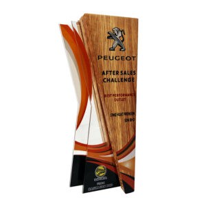 Custom Trophy Custom Trophy WP7437