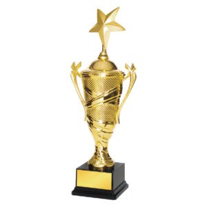 Acrylic Trophy Acrylic Trophy CA1929
