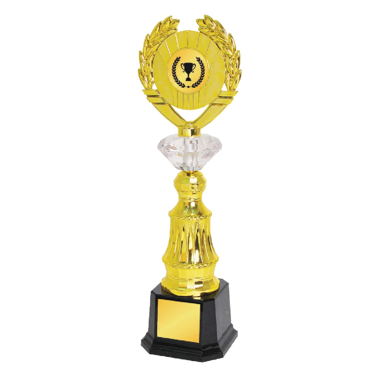 Acrylic Trophy Acrylic Trophy CA1970 Acrylic Trophy Acrylic Trophy CA1970