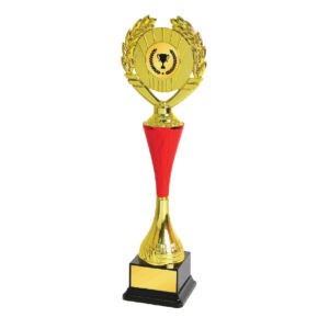 Acrylic Trophy Acrylic Trophy CA1971