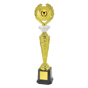 Acrylic Trophy Acrylic Trophy CA1973