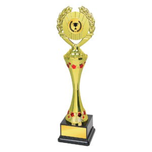 Acrylic Trophy Acrylic Trophy CA1980