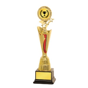 Acrylic Trophy Acrylic Trophy CA1998