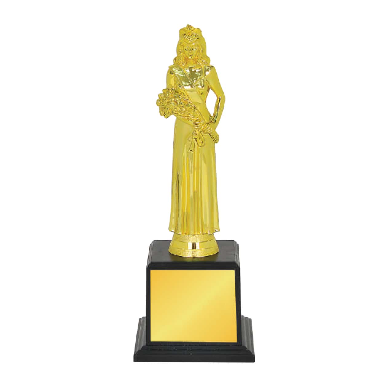 Acrylic Trophy Acrylic Trophy CA2014 Acrylic Trophy Acrylic Trophy CA2014