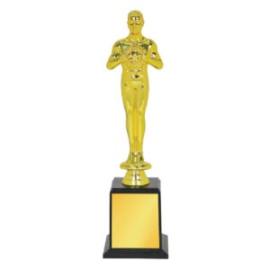 Acrylic Trophy Acrylic Trophy CA2016