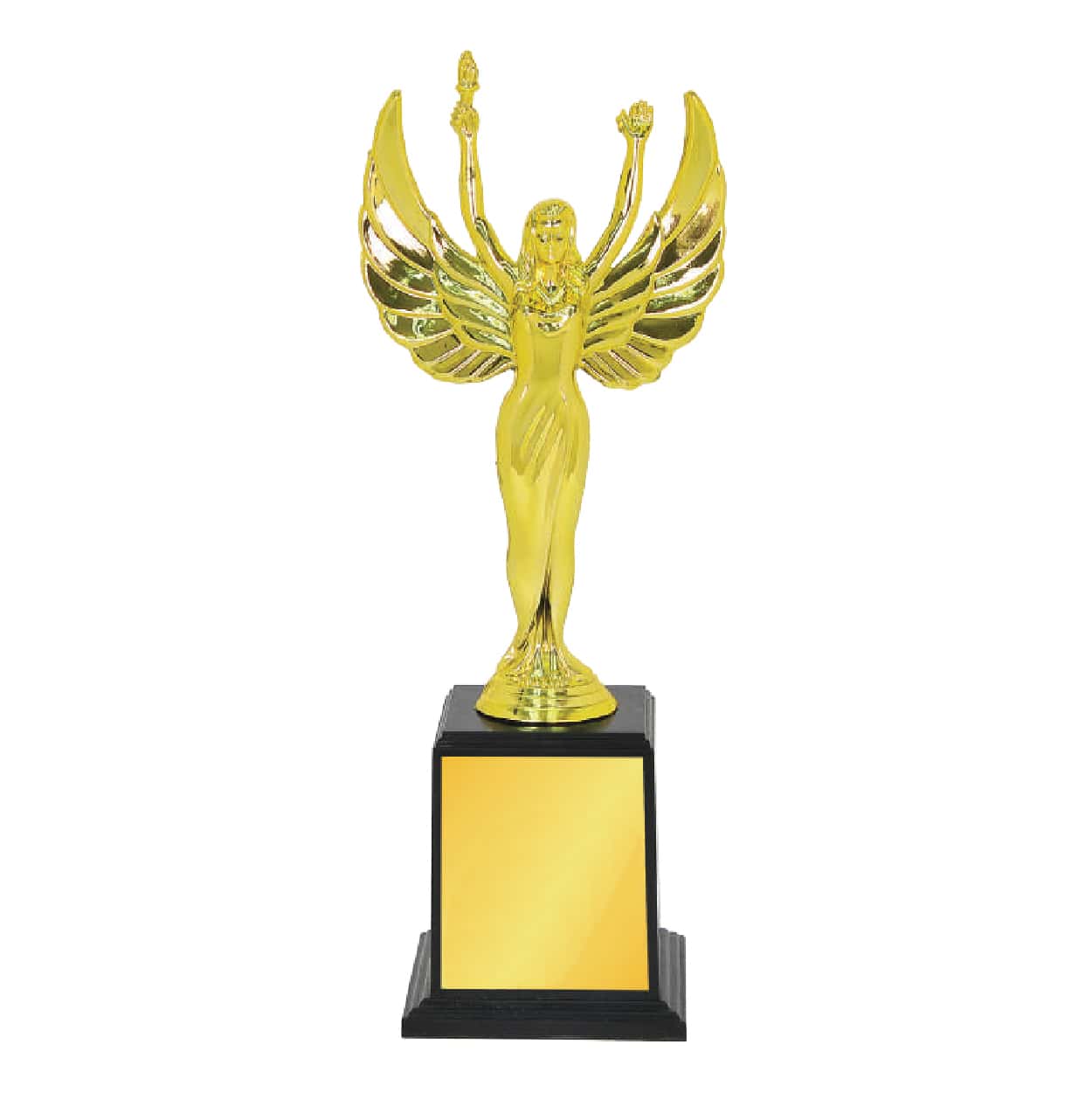 Acrylic Trophy Acrylic Trophy CA2017 Acrylic Trophy Acrylic Trophy CA2017