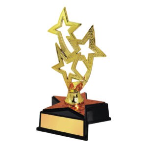 Acrylic Trophy Acrylic Trophy CA2020