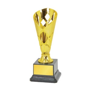 Acrylic Trophy Acrylic Trophy CA2045