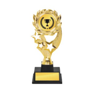 Acrylic Trophy Acrylic Trophy CA2061