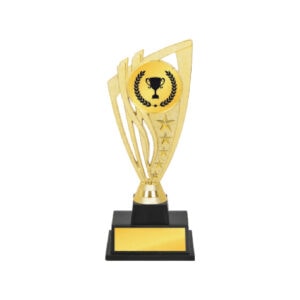 Acrylic Trophy Acrylic Trophy CA2064