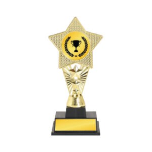 Acrylic Trophy Acrylic Trophy CA2070