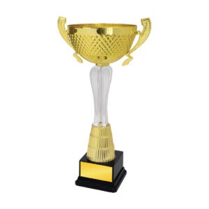 Acrylic Trophy Acrylic Trophy CA2079 Acrylic Trophy Acrylic Trophy CA2079