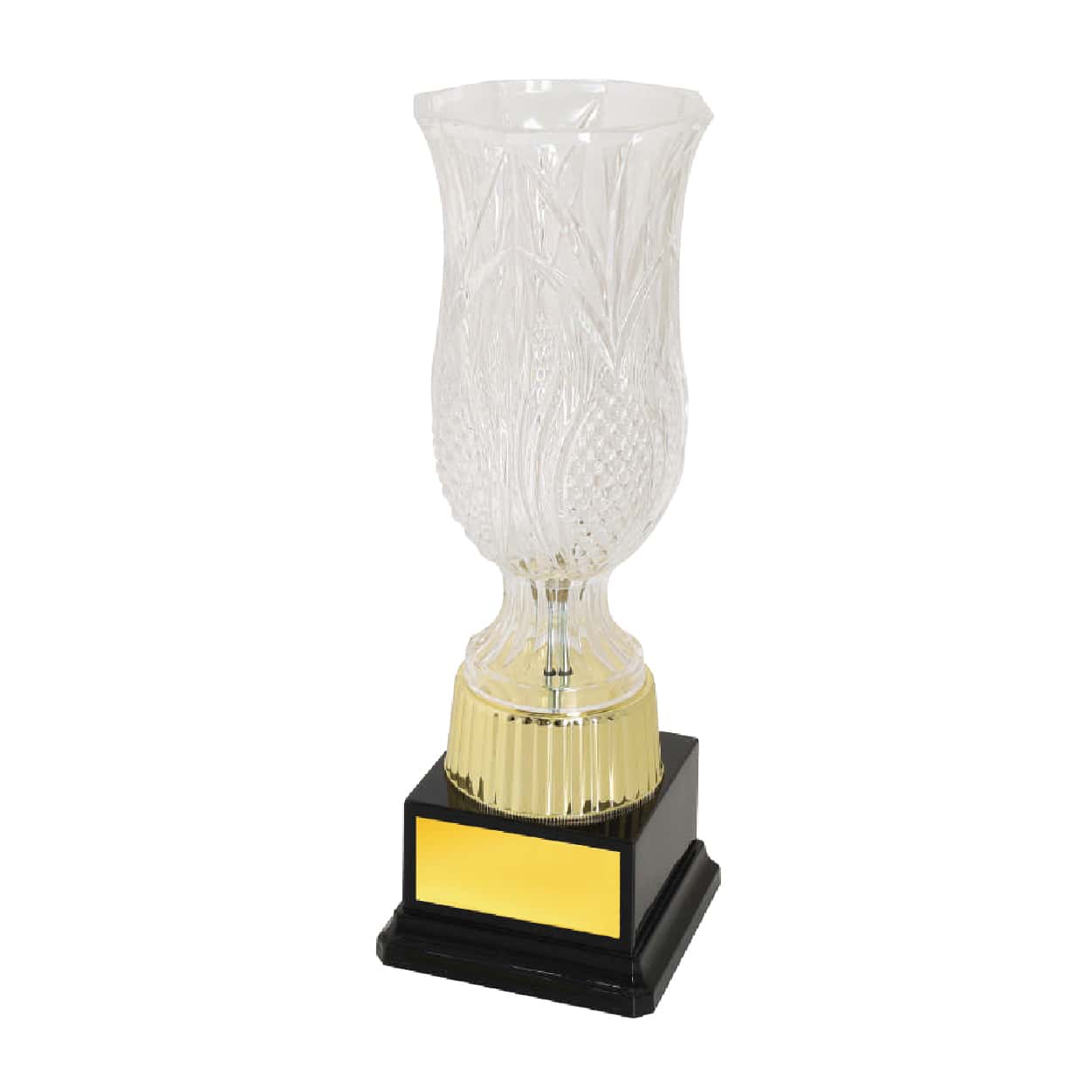 Acrylic Trophy Acrylic Trophy CA2088 Acrylic Trophy Acrylic Trophy CA2088